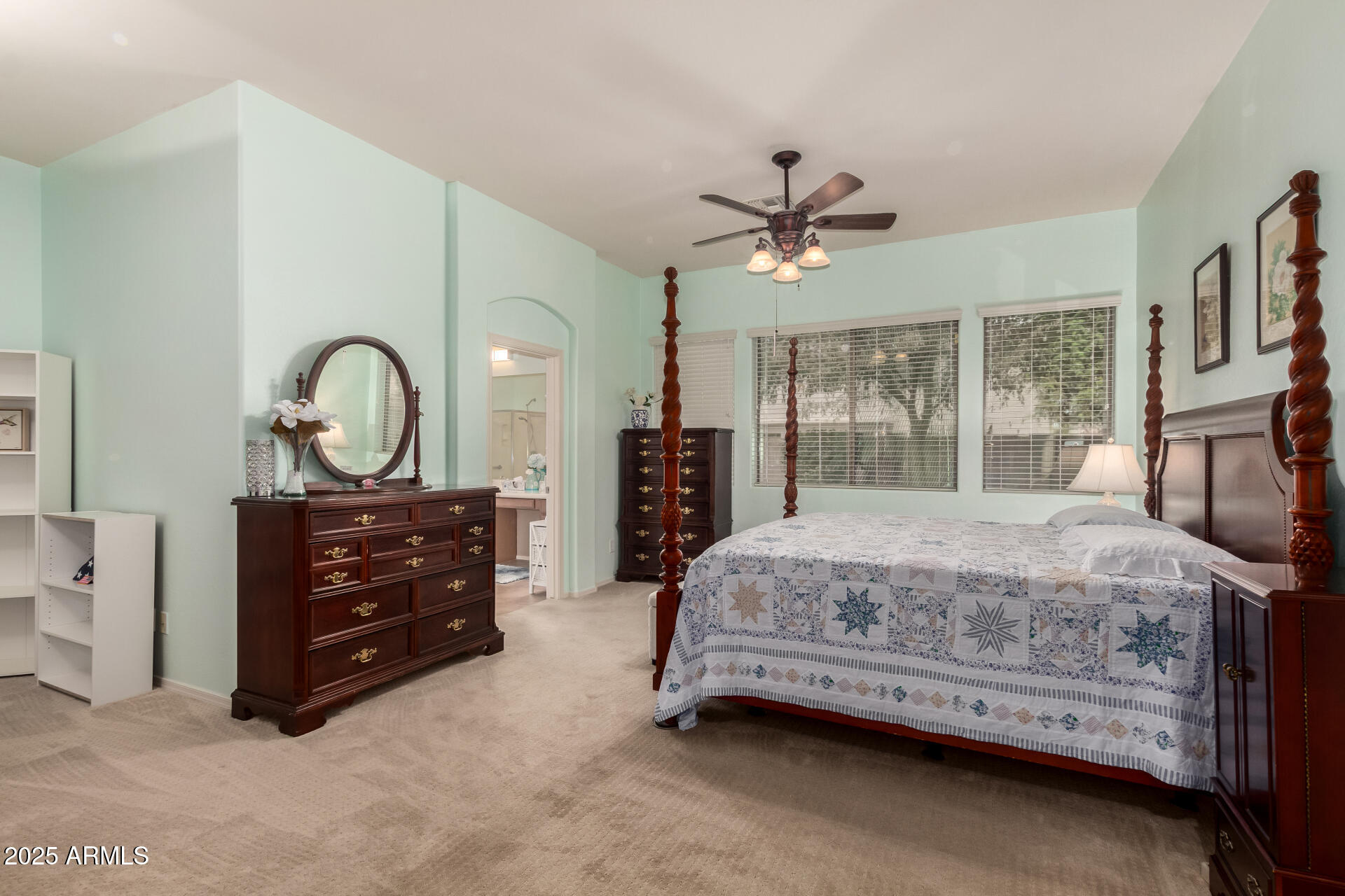 43906 W MCCLELLAND Drive