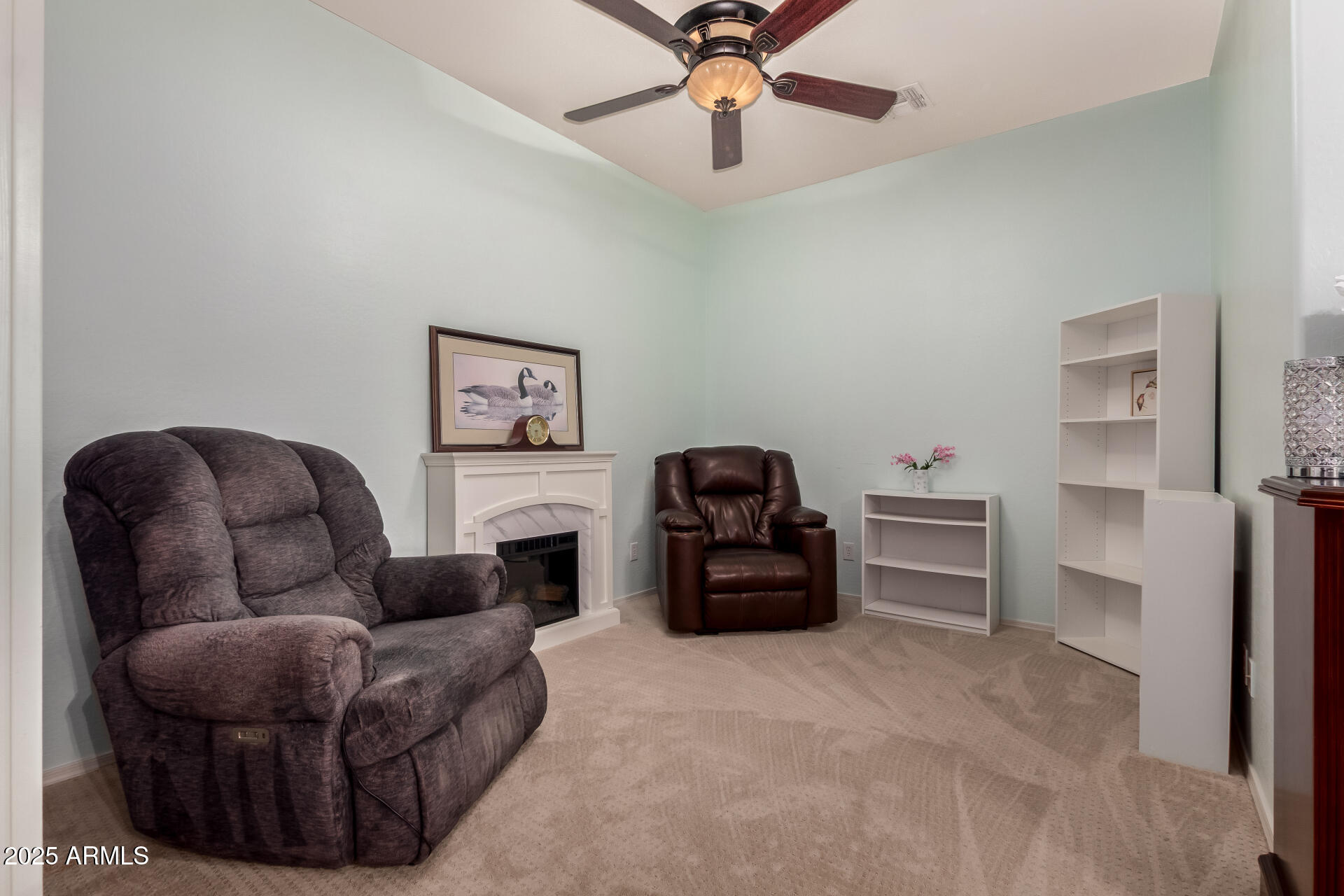 43906 W MCCLELLAND Drive