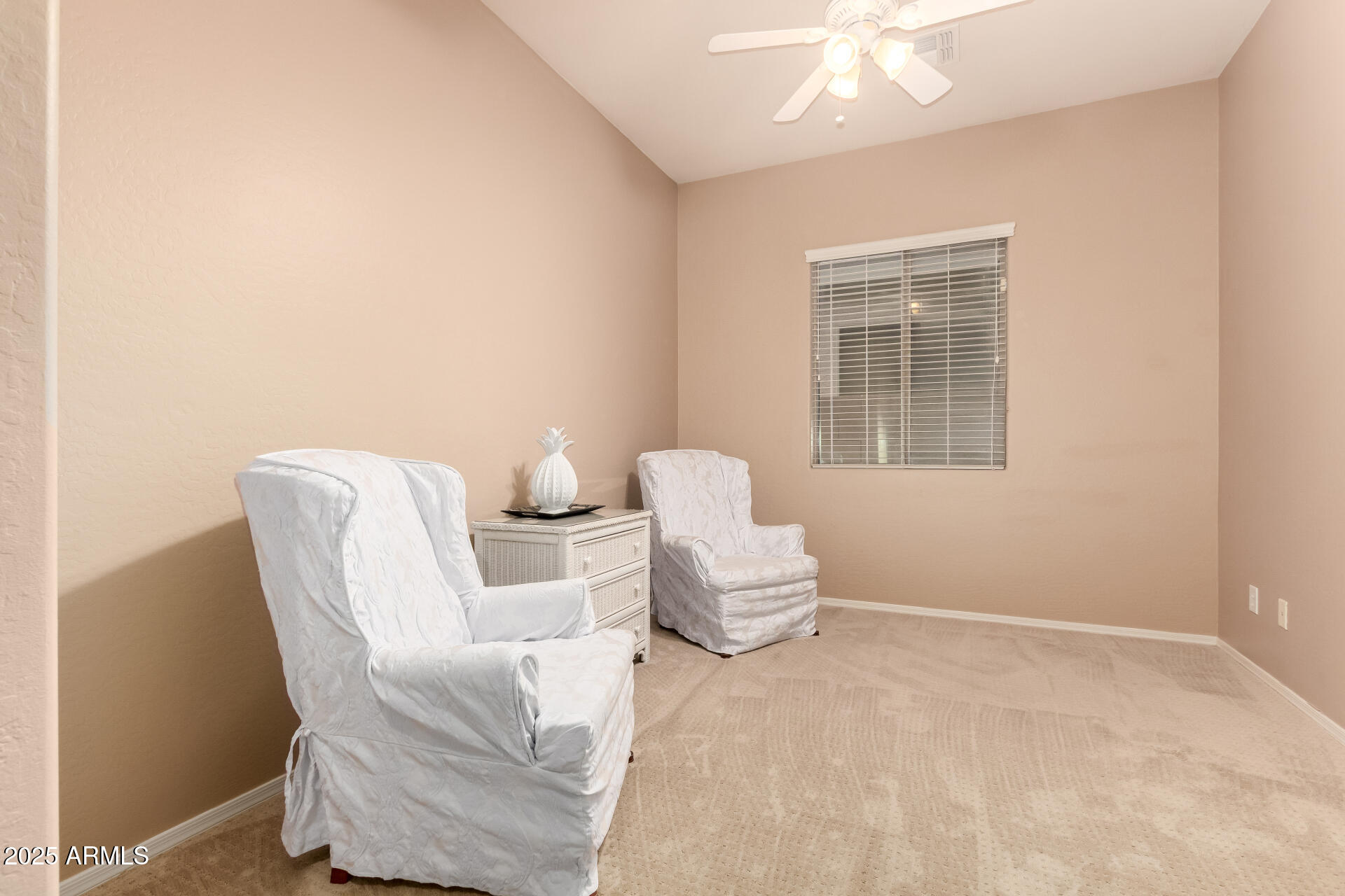 43906 W MCCLELLAND Drive