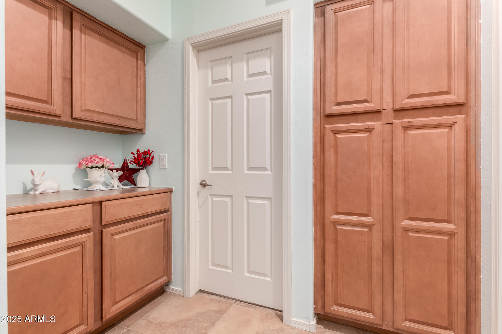 43906 W MCCLELLAND Drive