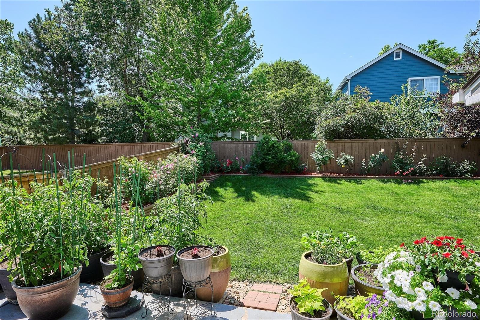 832 Timbervale Trail