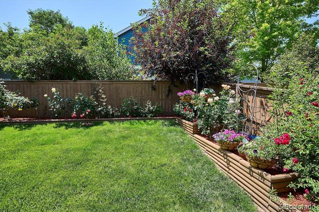 832 Timbervale Trail