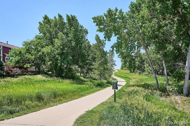 832 Timbervale Trail