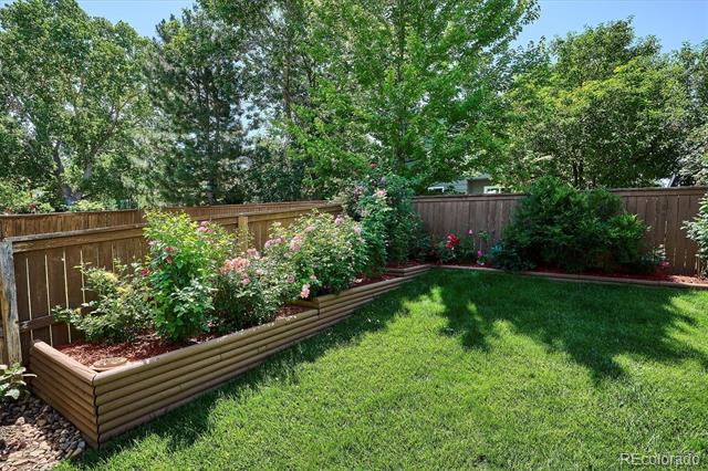 832 Timbervale Trail