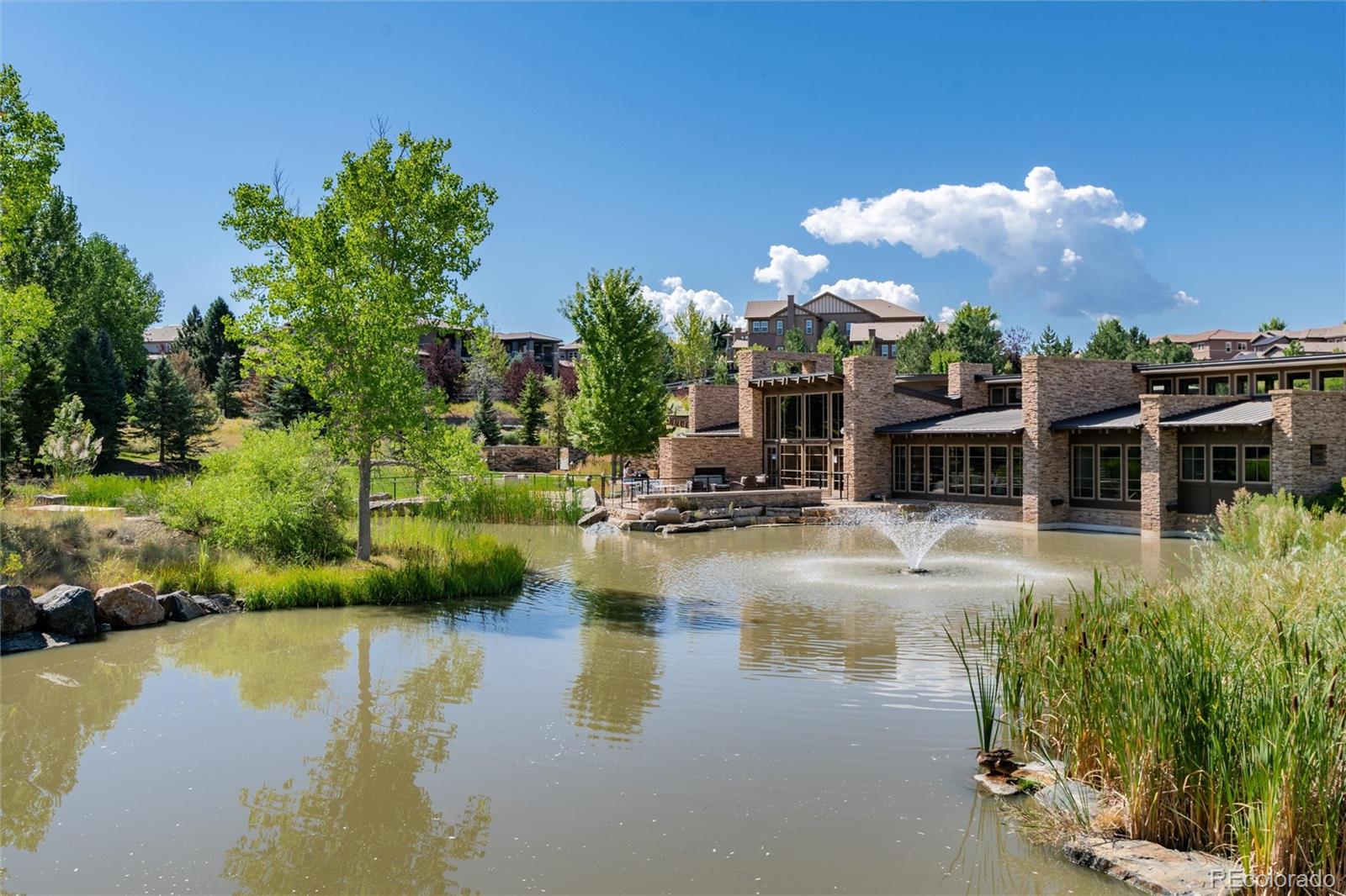 10640 Star Thistle Court