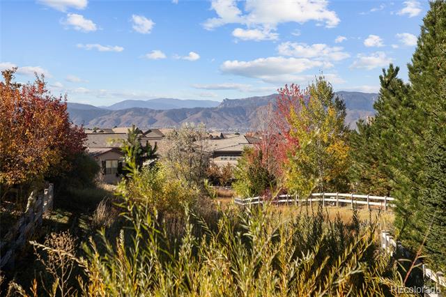 493 Meadowleaf Lane
