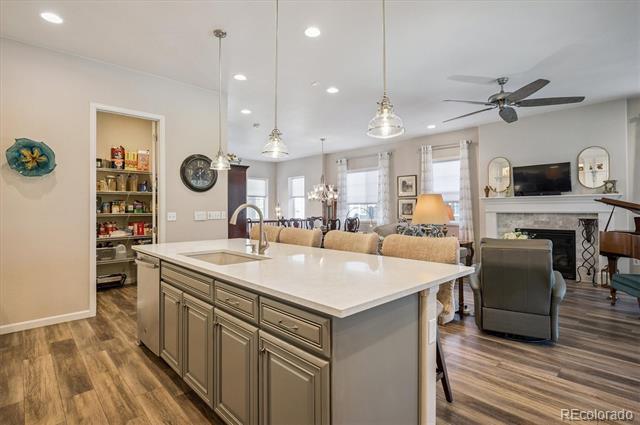 1096 Brocade Drive