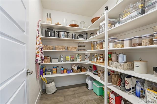 489 Meadowleaf Lane