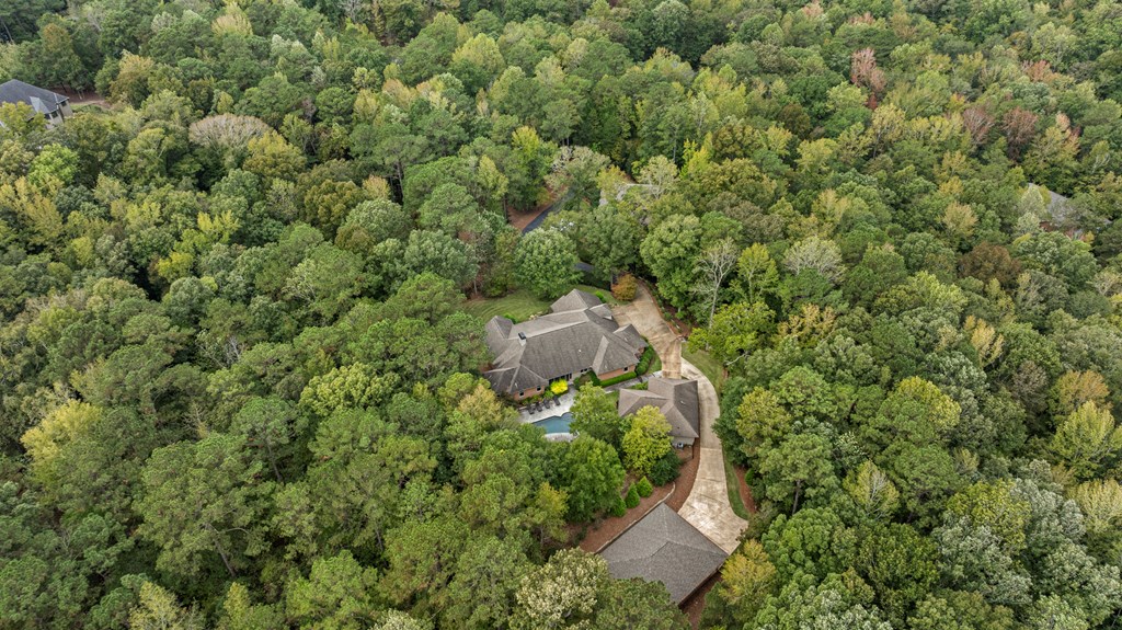 Aerial view of a wooded home with a swimming pool and curved driveway.