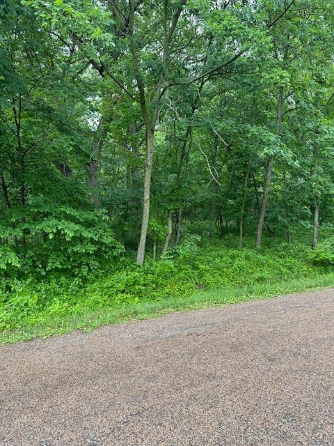 6683 Panorama Drive