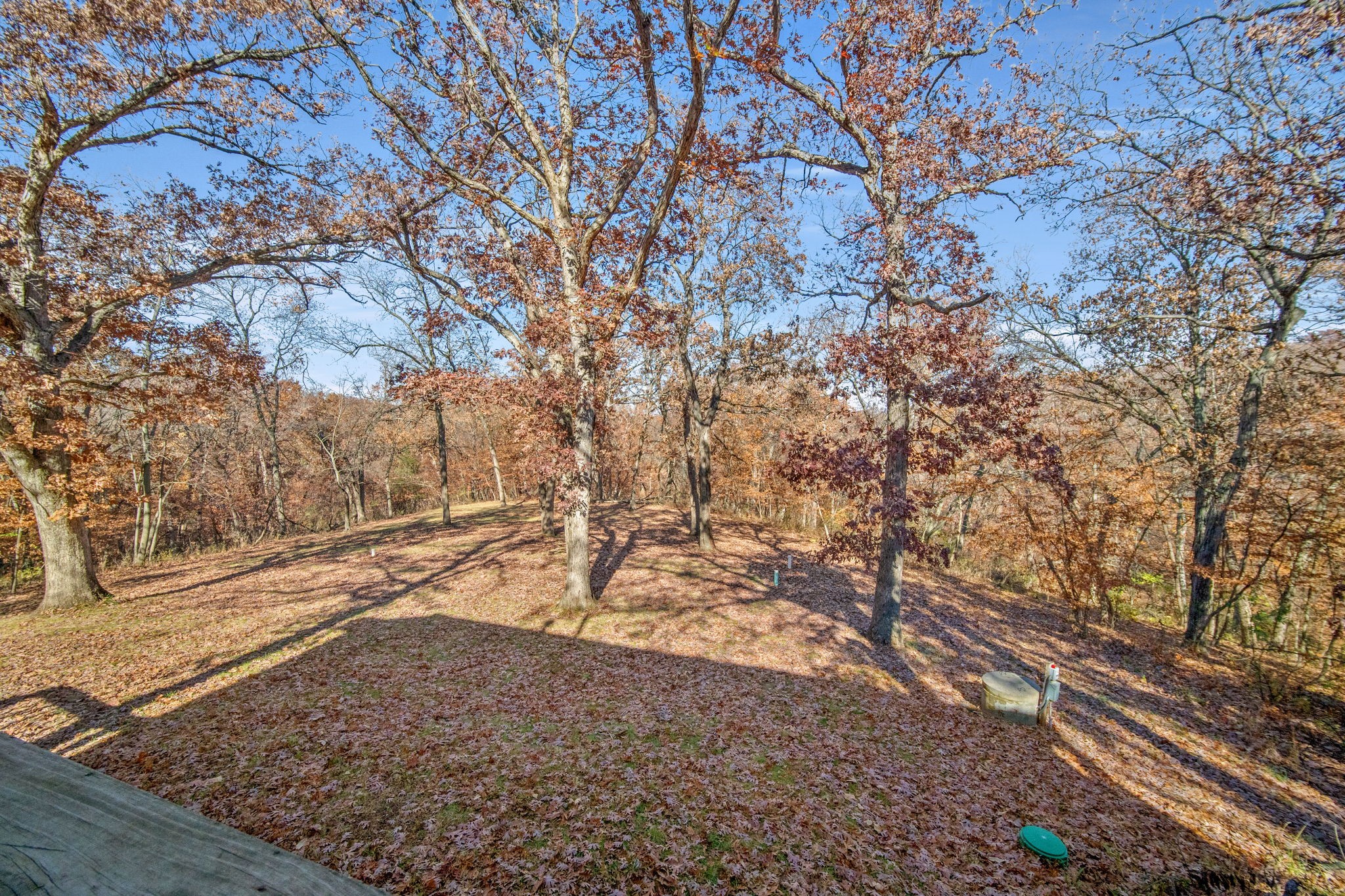 6513 Oak Tree Cove