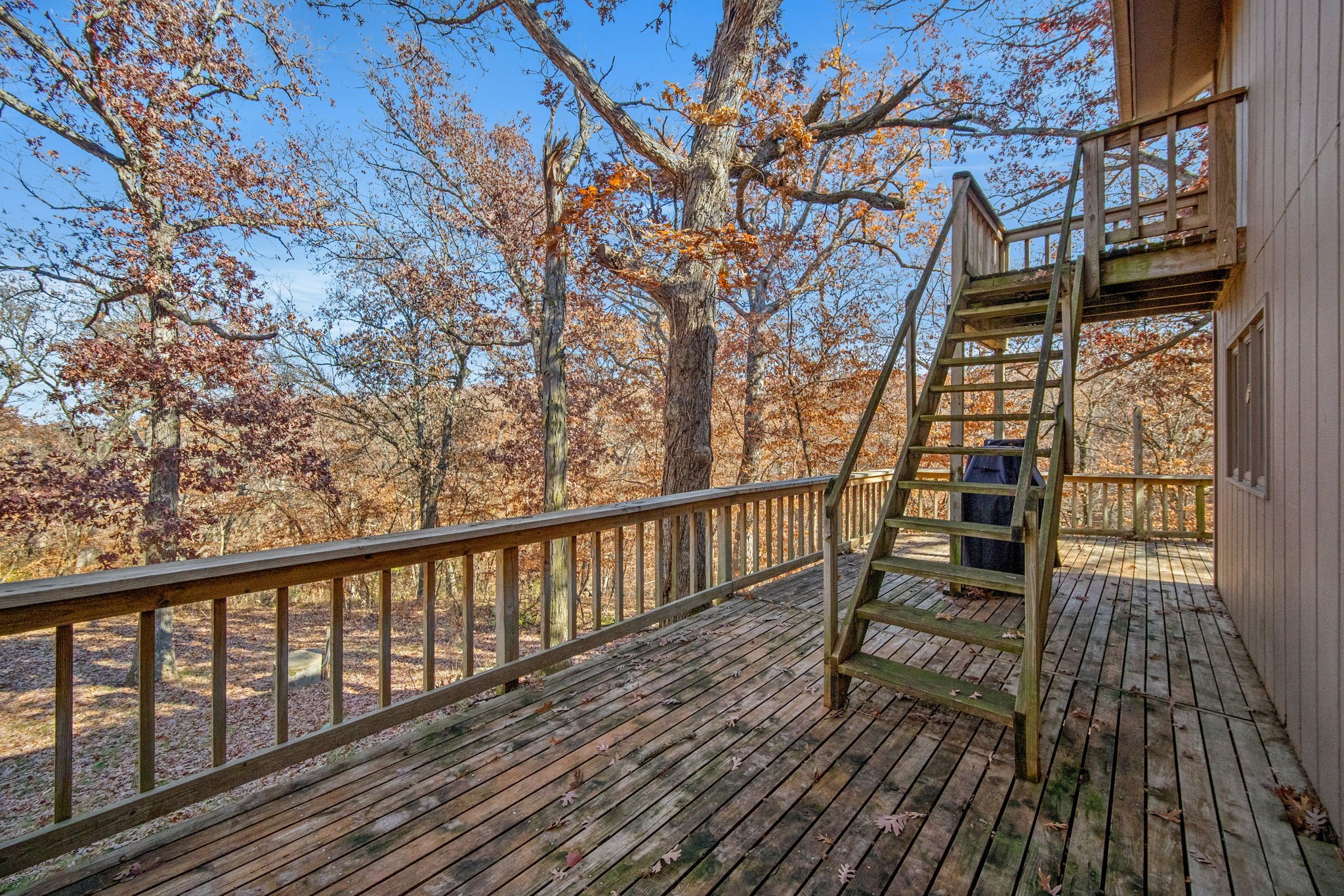6513 Oak Tree Cove