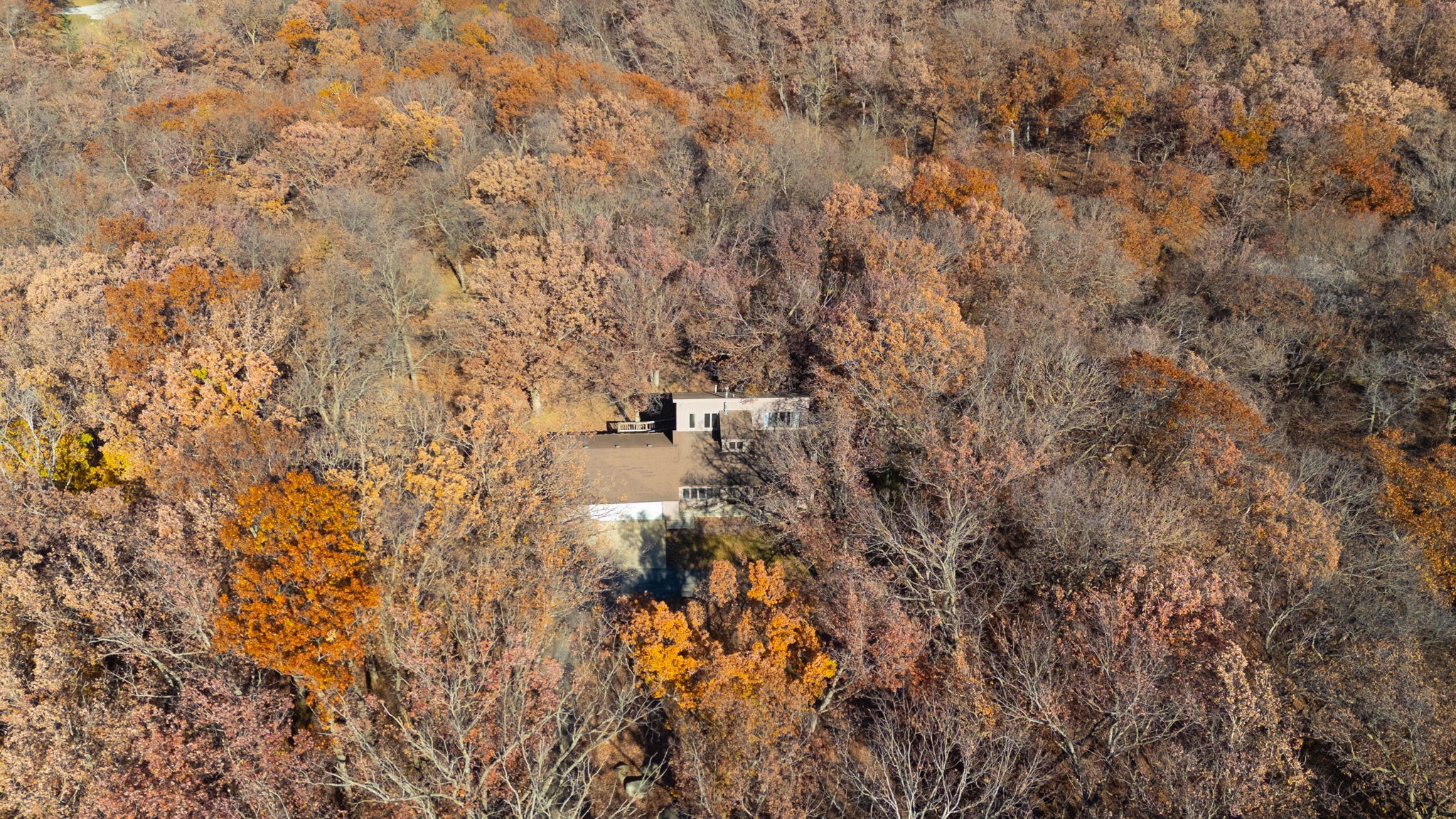 6513 Oak Tree Cove