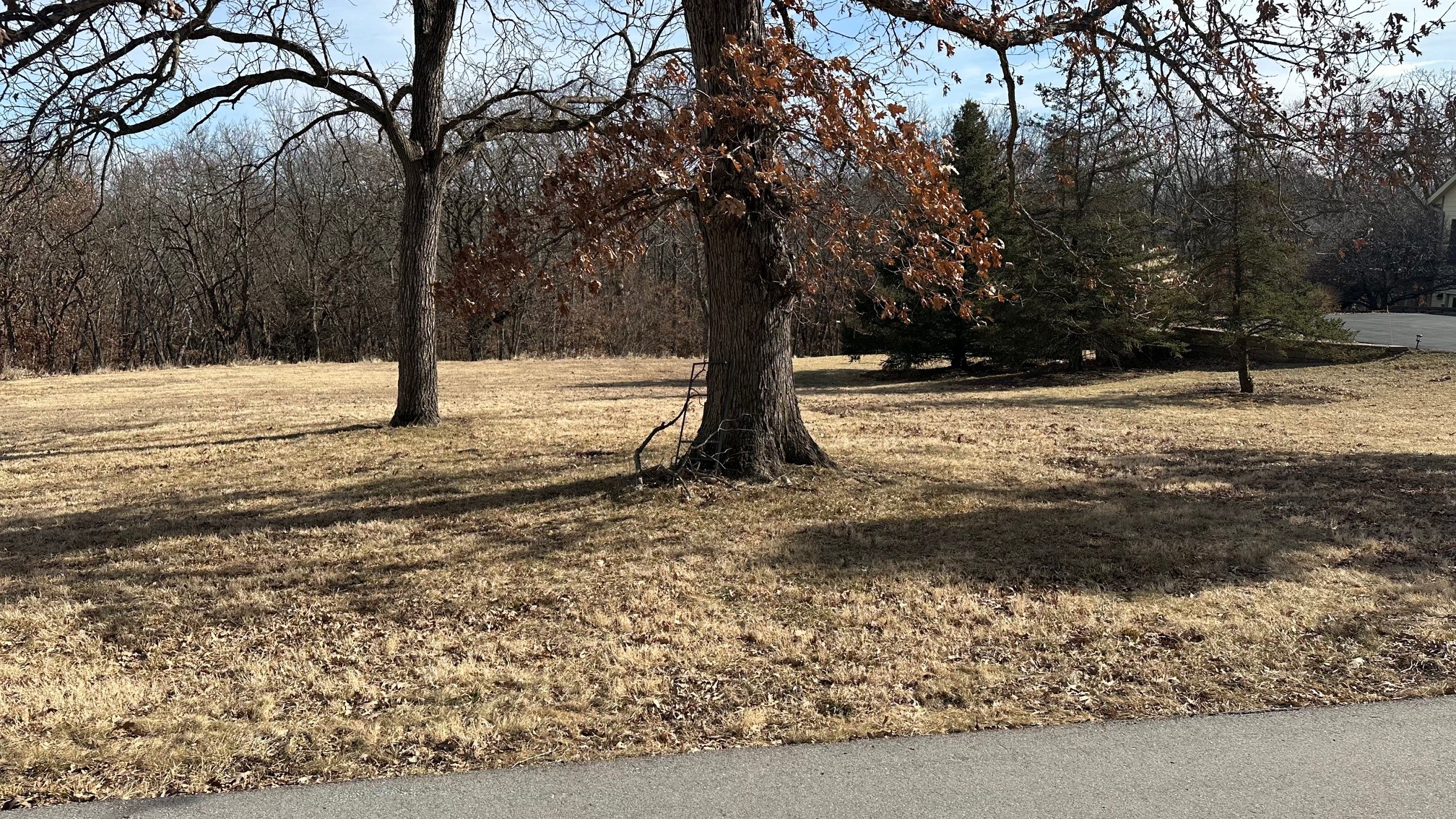 Lot 17 Mill Creek Drive