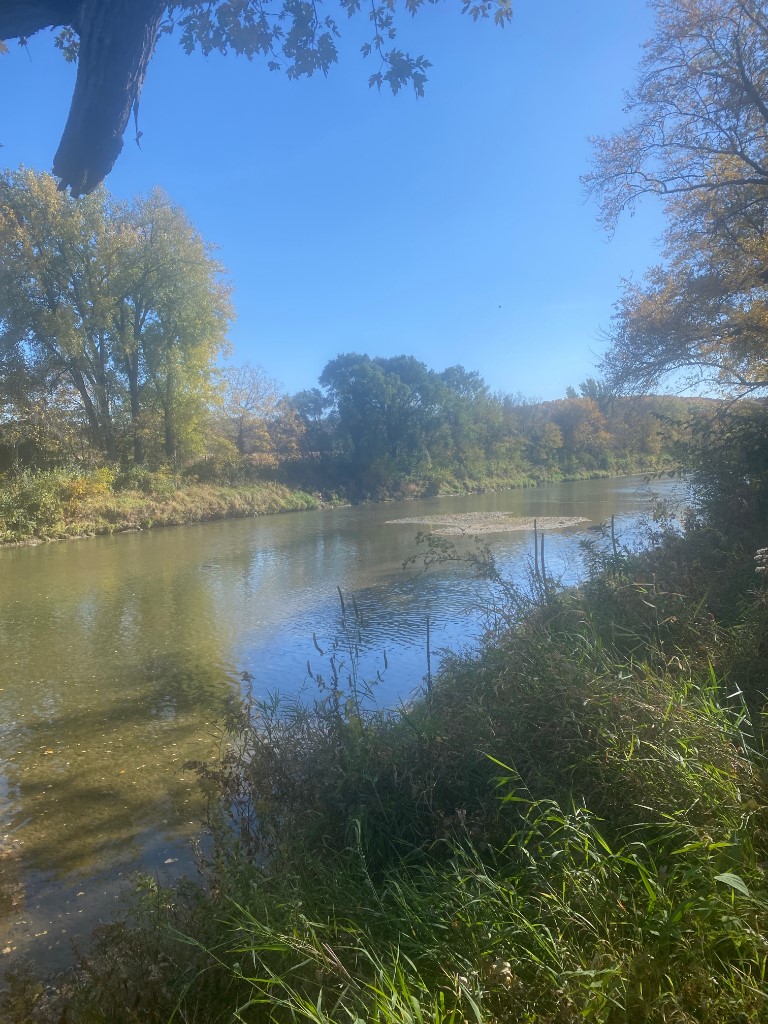16254 310th Trail