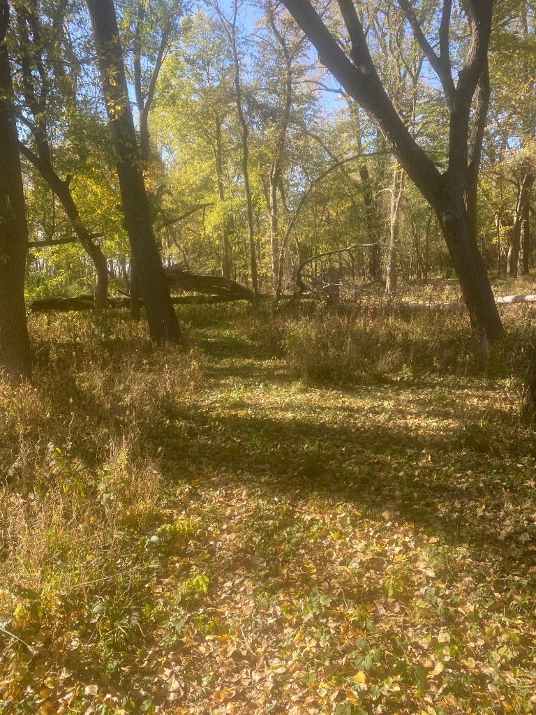 16254 310th Trail
