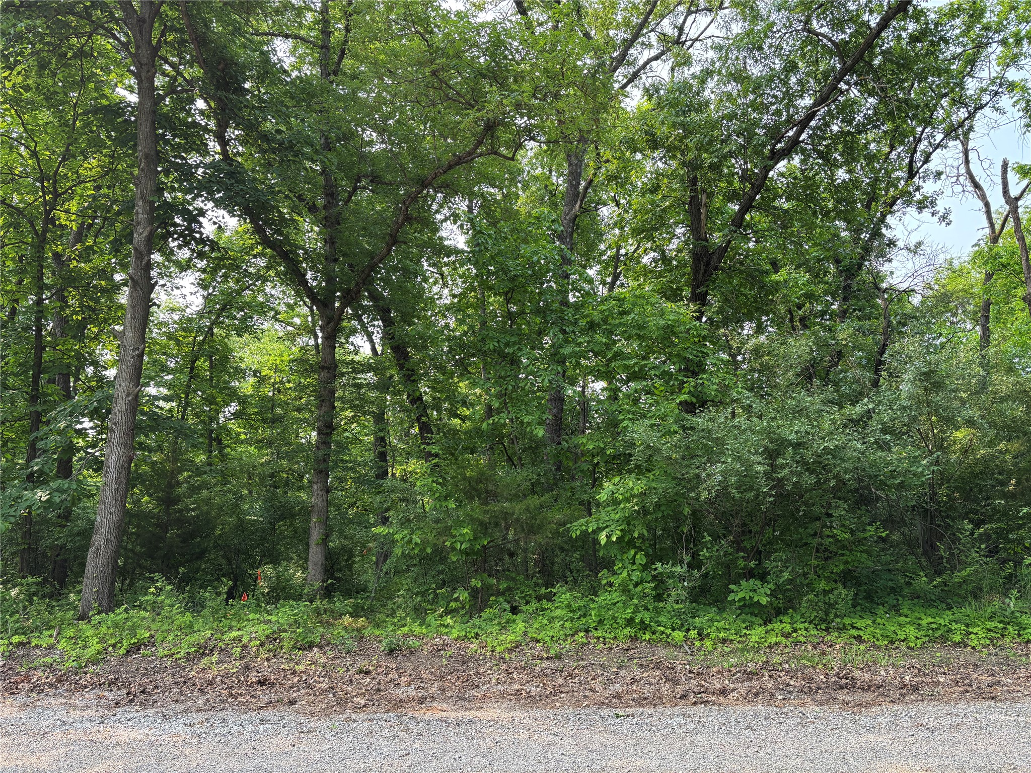 000 Chucks Hill
