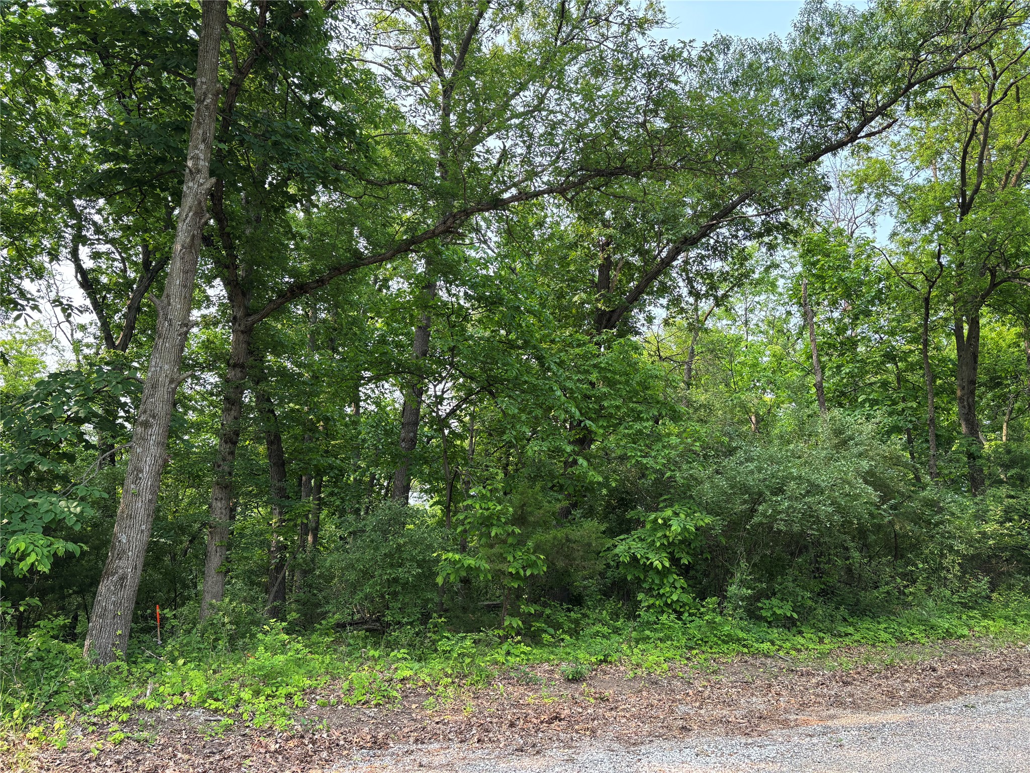000 Chucks Hill