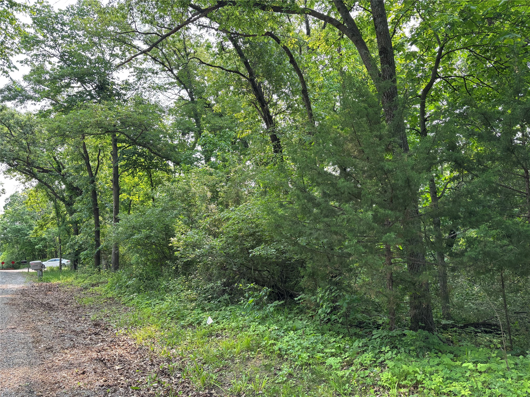 000 Chucks Hill