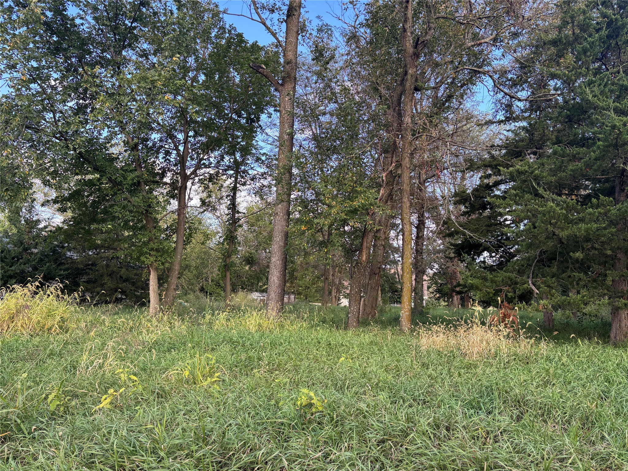 6355 Panorama Drive