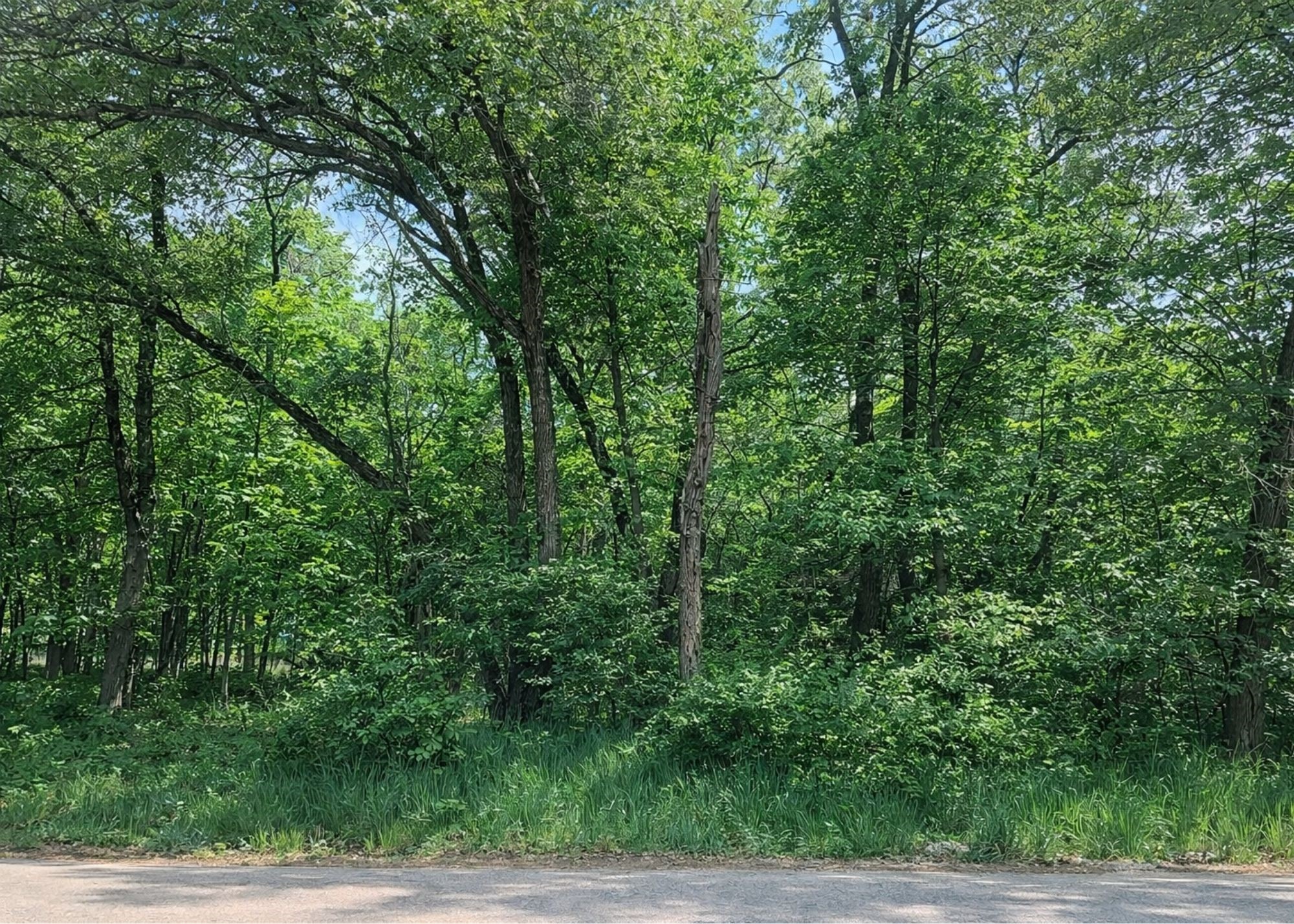 4184 Panorama Drive