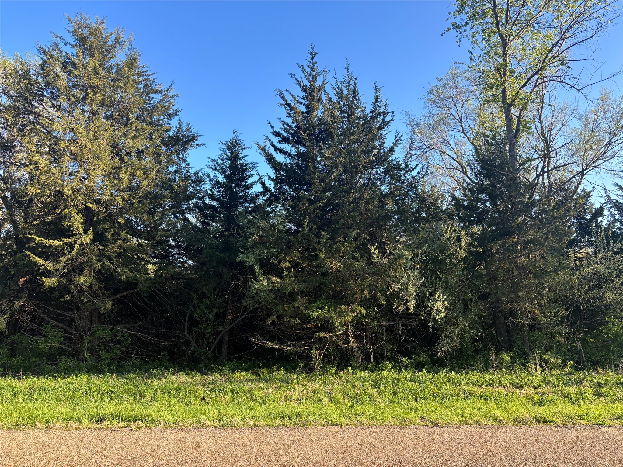 4729 Cornelius Road
