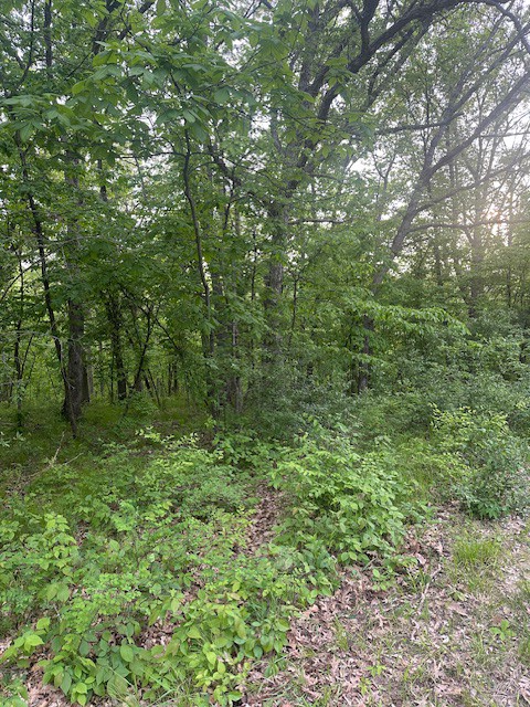 6513 Jansen Cove