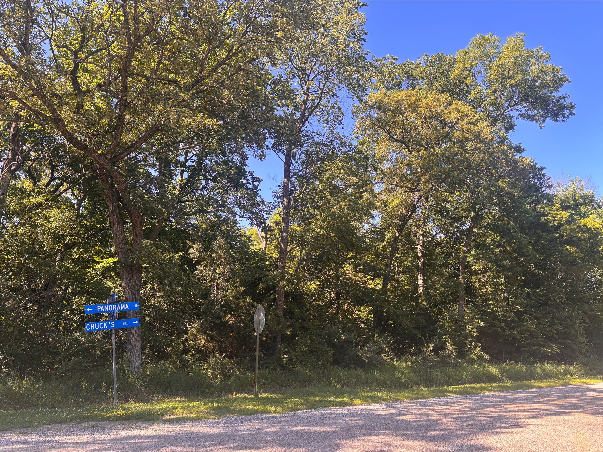 Panorama Road