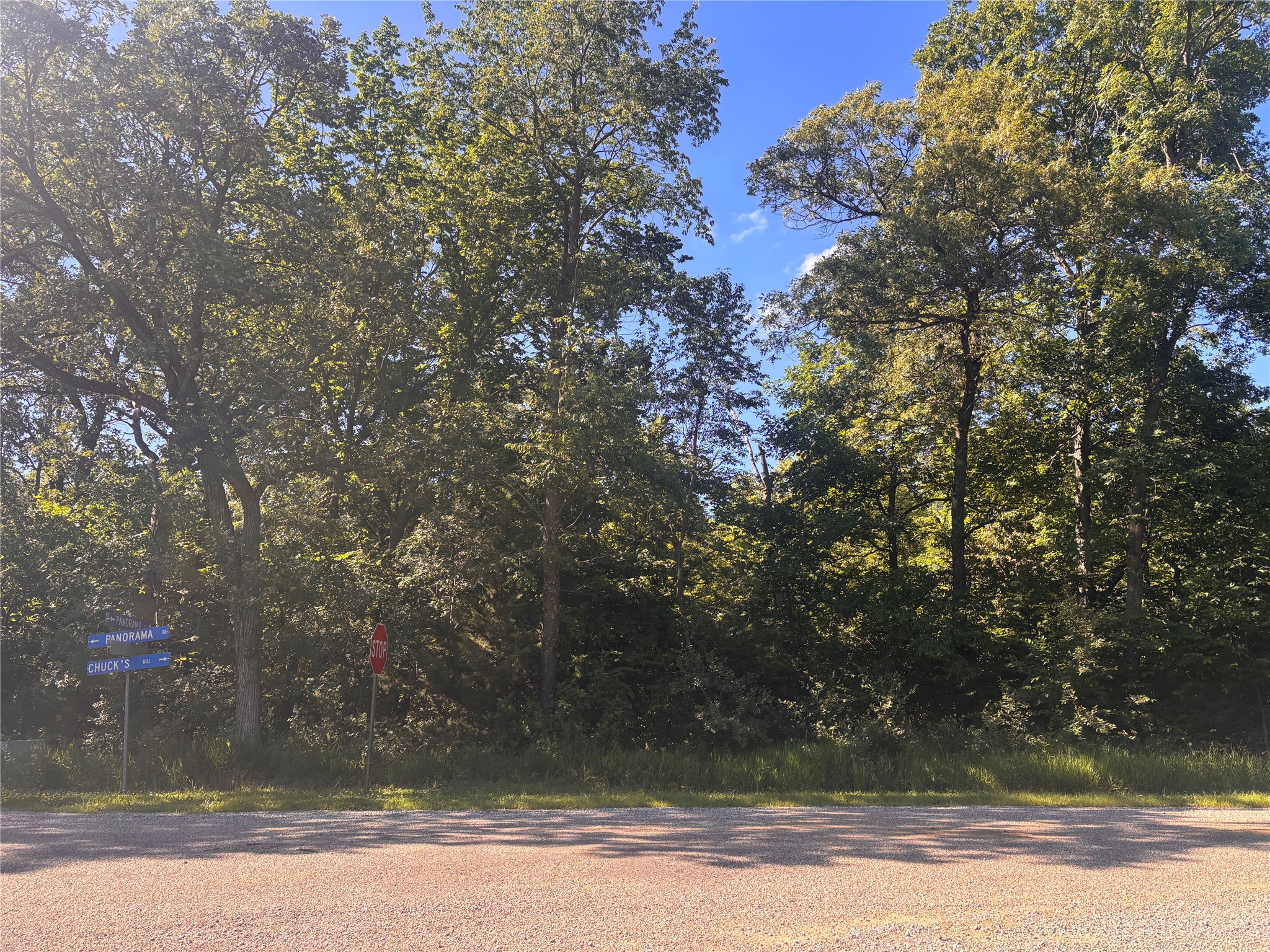 Panorama Road