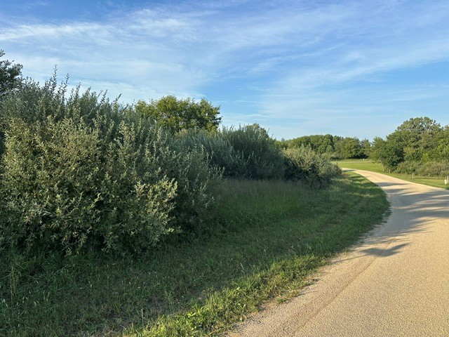 4802 Panorama Drive