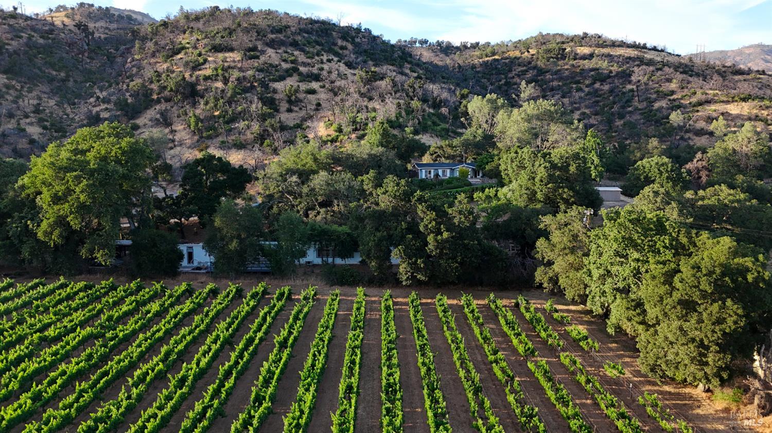 4405 Silverado Trail