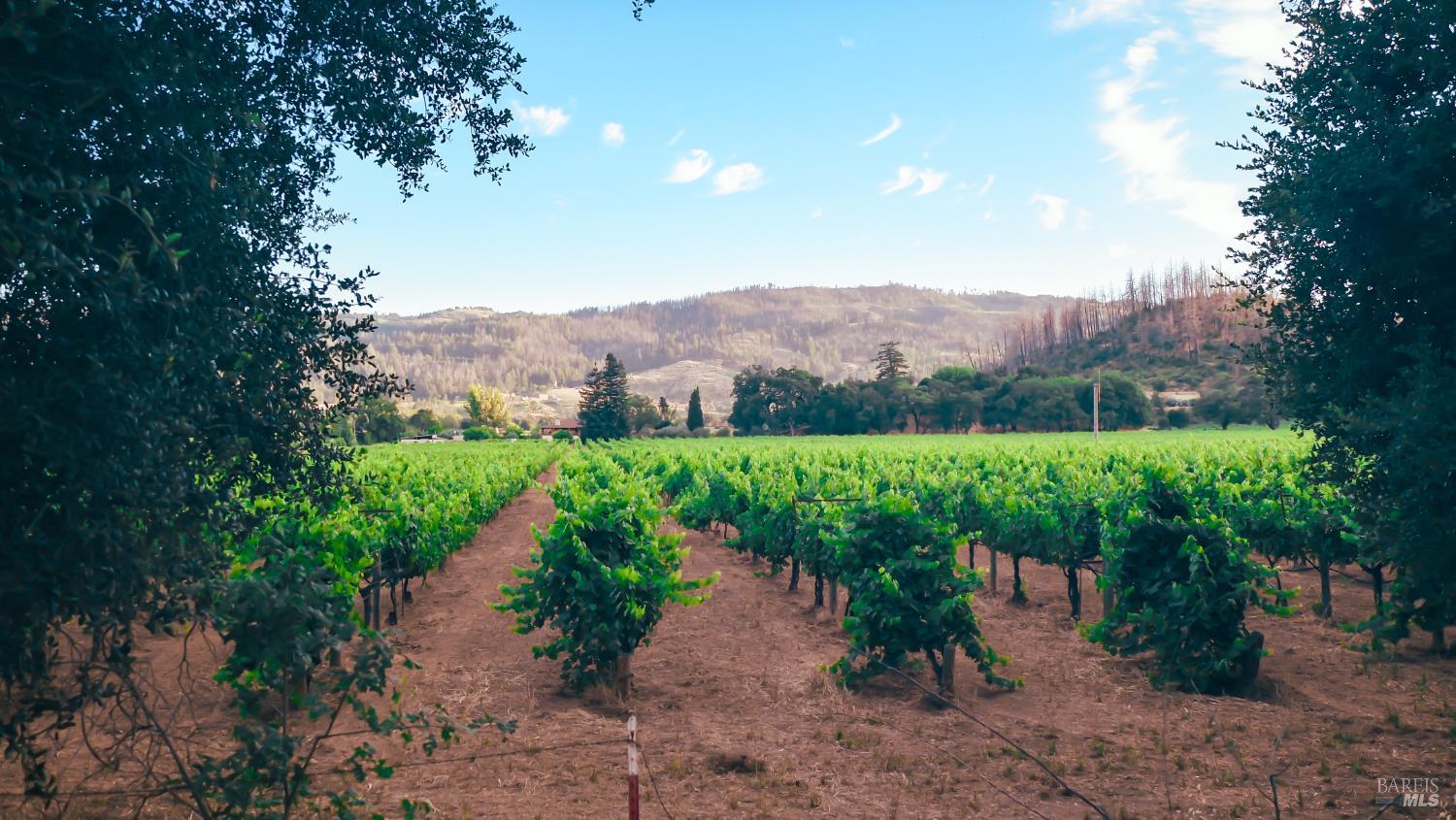 4405 Silverado Trail