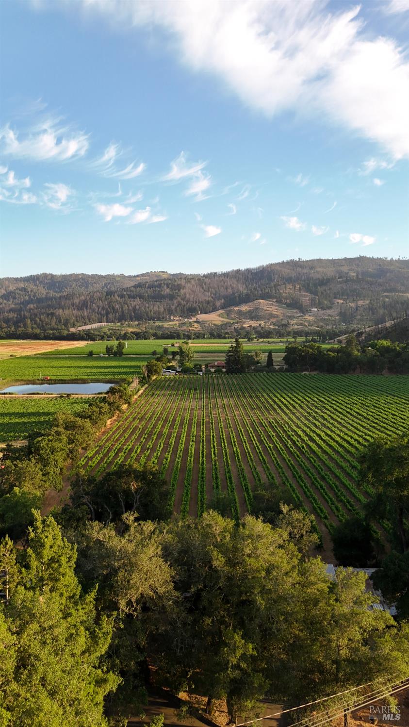 4405 Silverado Trail