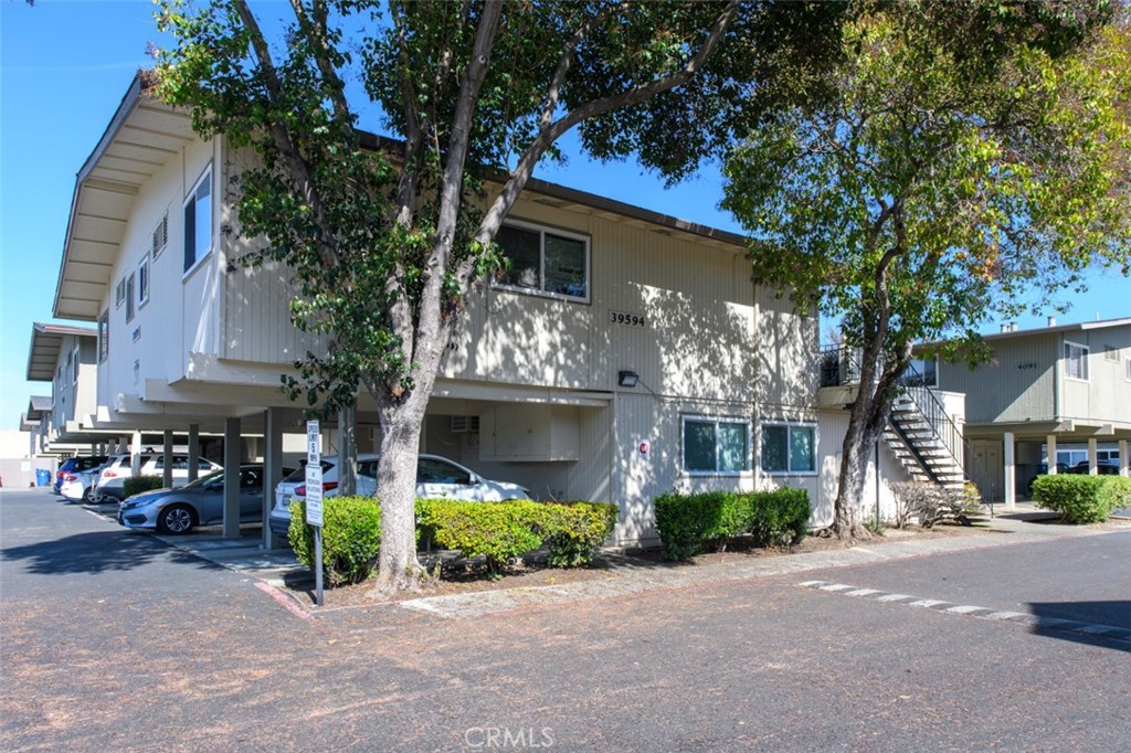 39594 Trinity Way