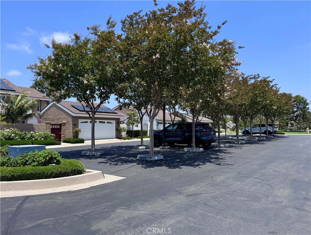 24372 Borrego Court