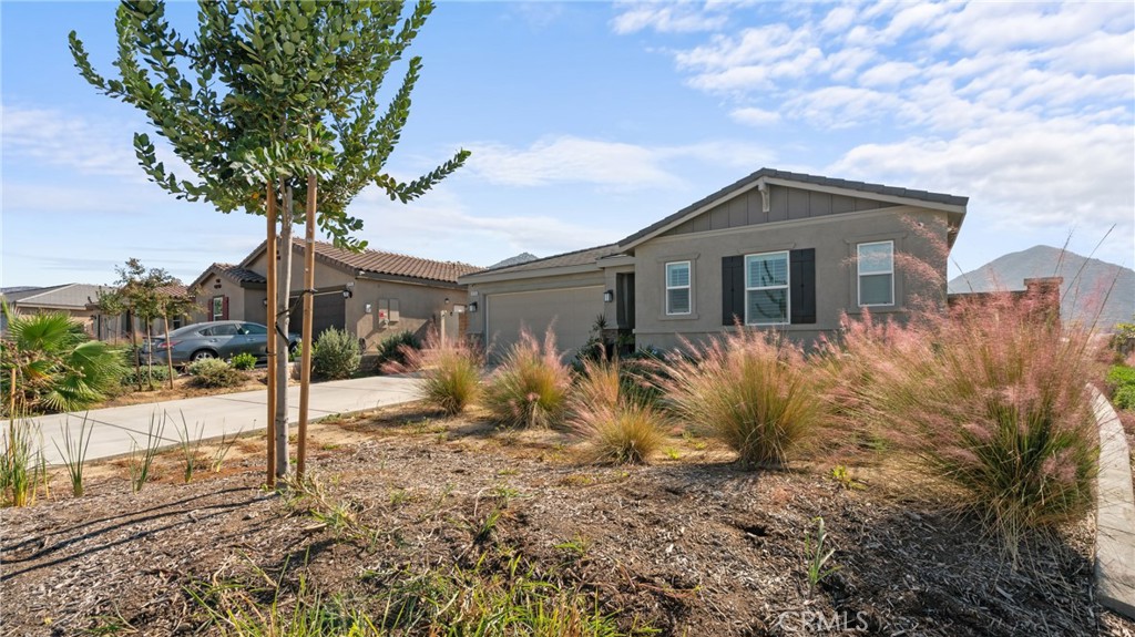 19743 Clementine Court