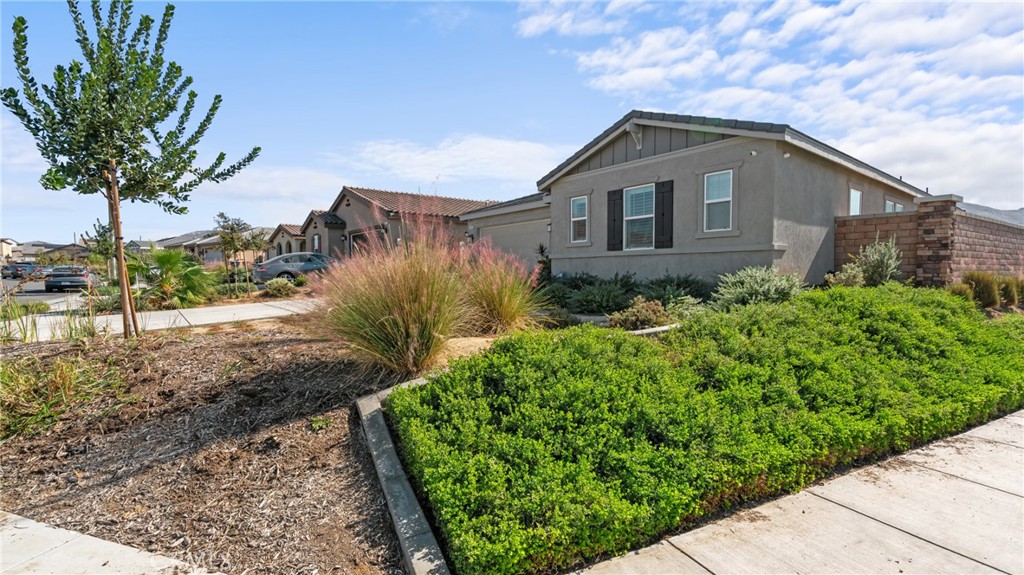 19743 Clementine Court