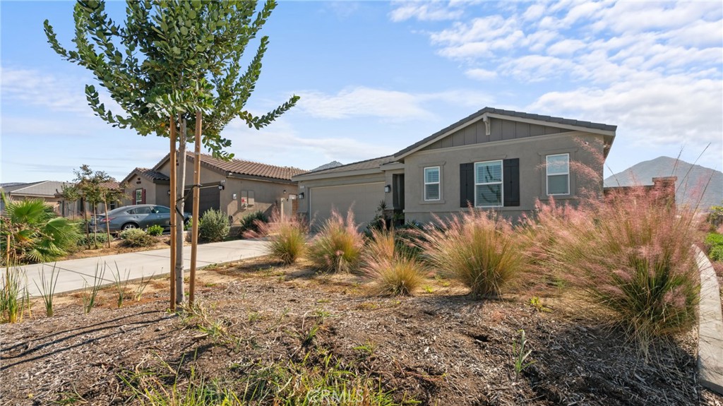 19743 Clementine Court