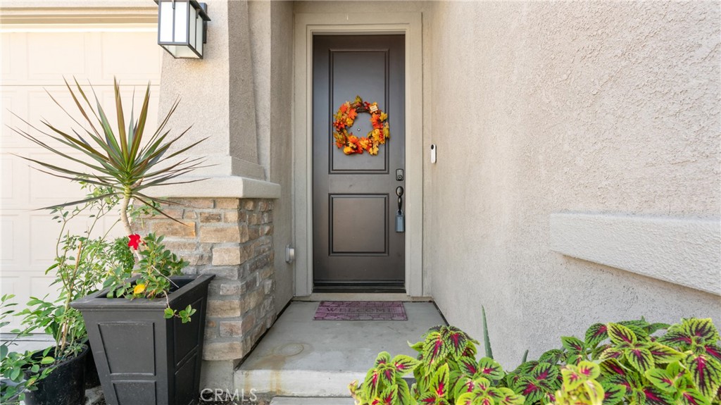 19743 Clementine Court