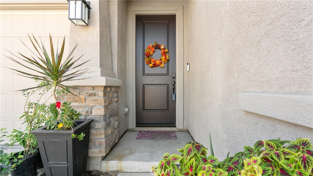 19743 Clementine Court