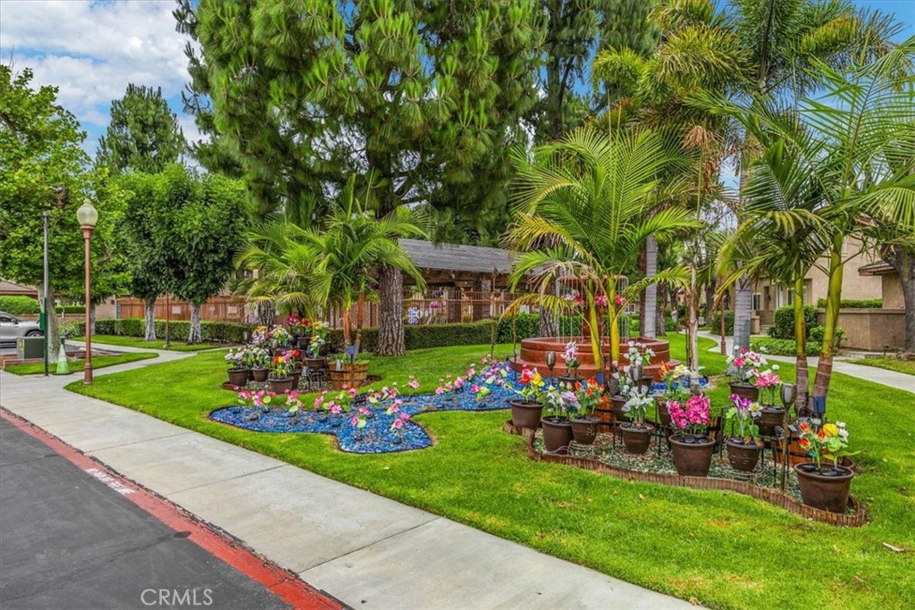 3513 Wildwood Street