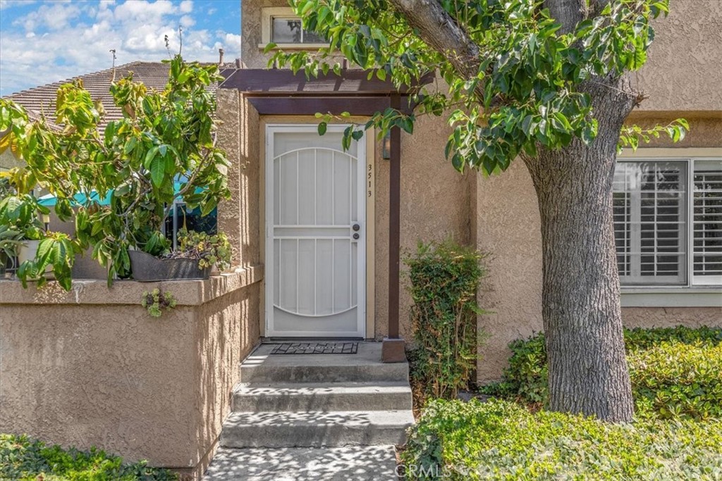 3513 Wildwood Street