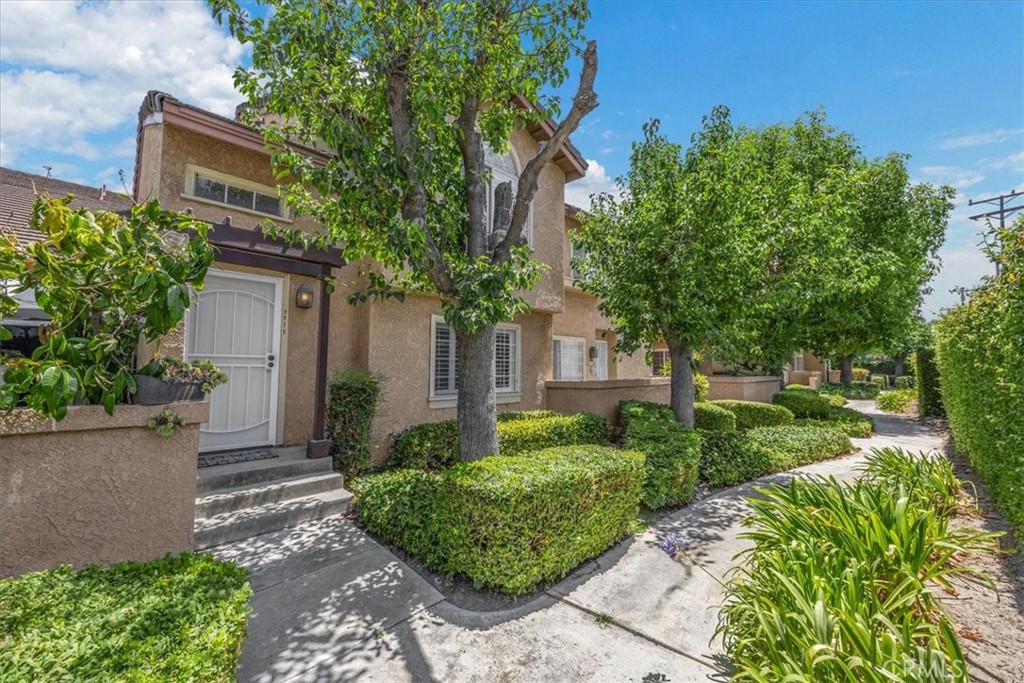 3513 Wildwood Street