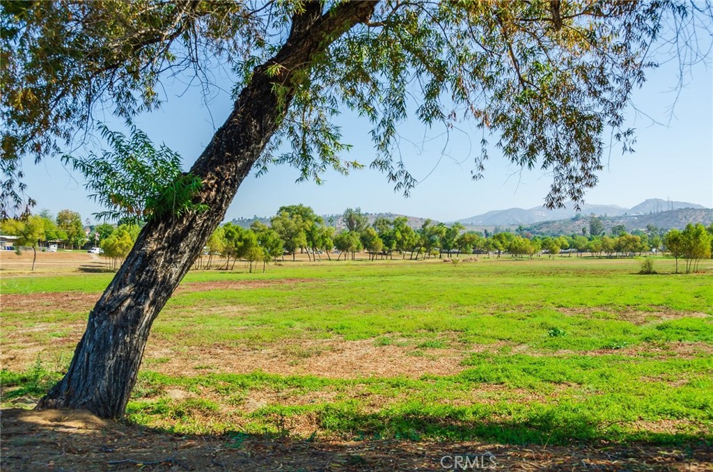 8898 Burkshire Place