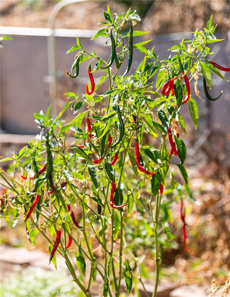 8898 Burkshire Place