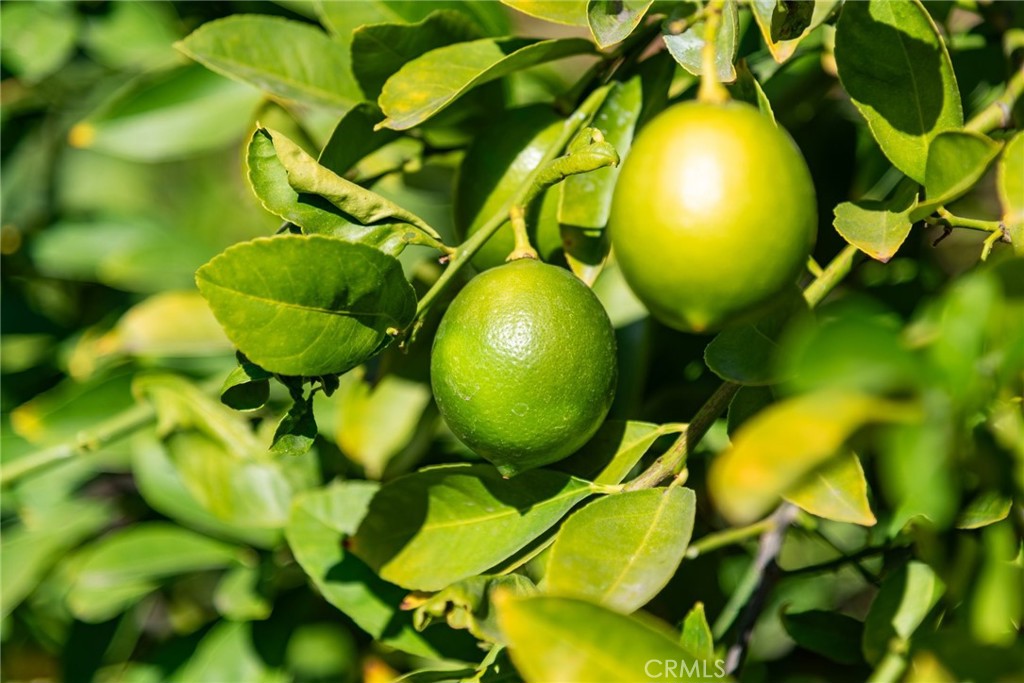 8898 Burkshire Place