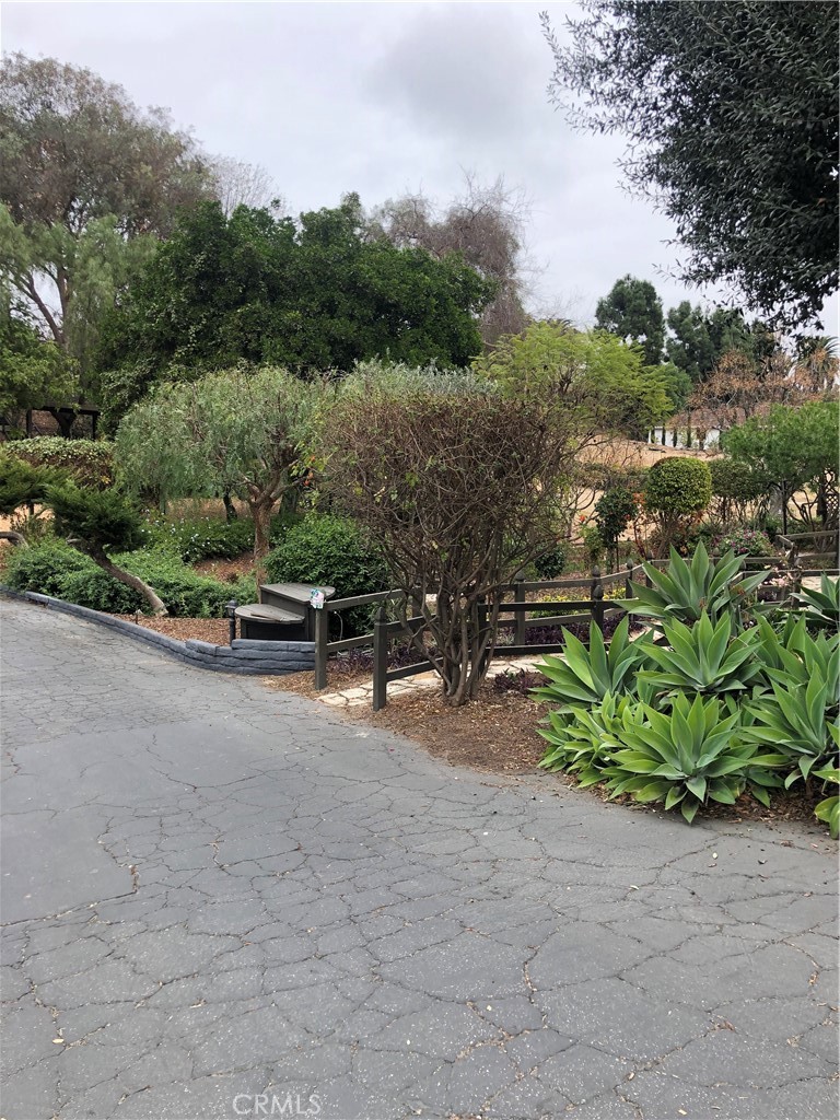 1209 W Valley View Drive