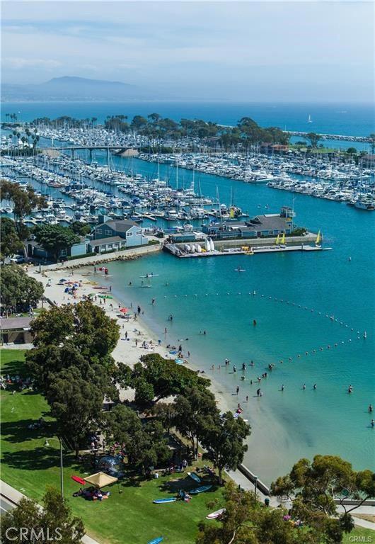 33812 Violet Lantern Street