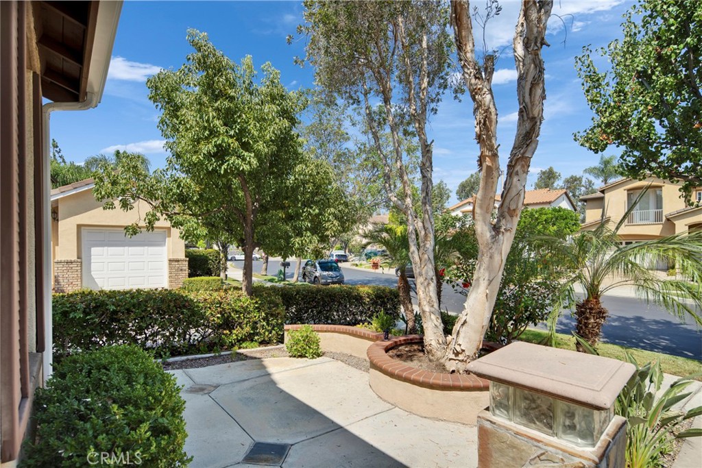 3002 Blackwood Court