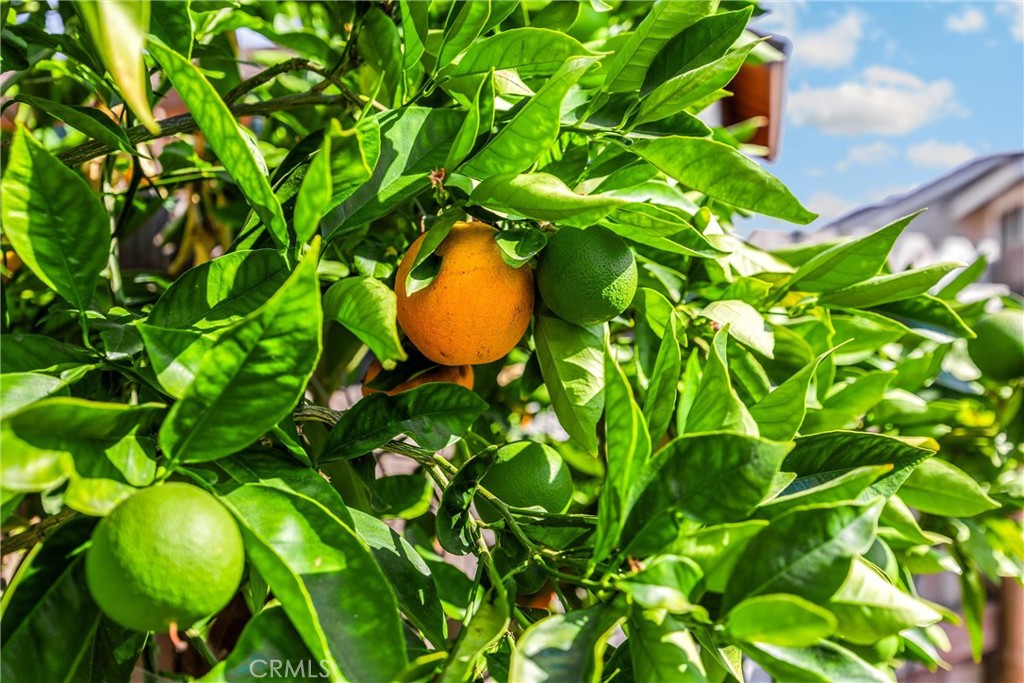 25885 Trabuco Road 306